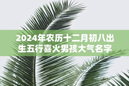 2025年农历十二月初八出生五行喜火男孩大气名字