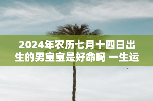 2025年农历七月十四日出生的男宝宝是好命吗 一生运势详解