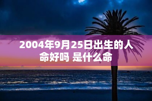 2004年9月25日出生的人命好吗 是什么命