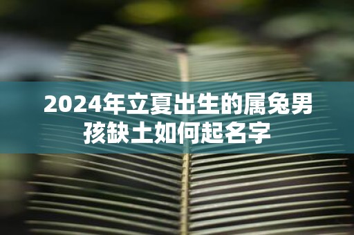 2025年立夏出生的属兔男孩缺土如何起名字