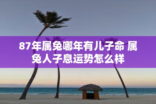 87年属兔哪年有儿子命 属兔人子息运势怎么样