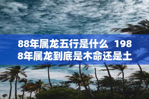 88年属龙五行是什么  1988年属龙到底是木命还是土命