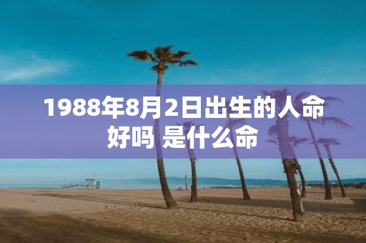 1988年8月2日出生的人命好吗 是什么命