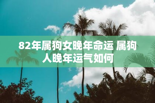 82年属狗女晚年命运 属狗人晚年运气如何