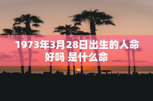 1973年3月28日出生的人命好吗 是什么命