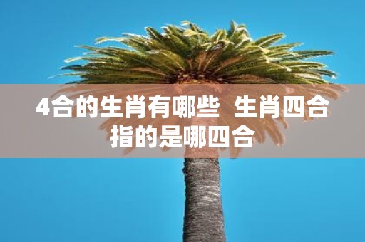 4合的生肖有哪些 生肖四合指的是哪四合