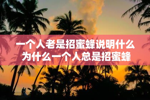 一个人老是招蜜蜂说明什么 为什么一个人总是招蜜蜂