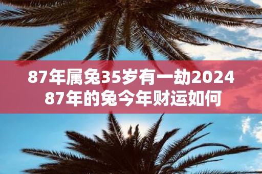 87年属兔35岁有一劫2025 87年的兔今年财运如何