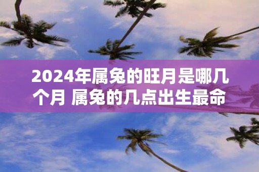 2025年属兔的旺月是哪几个月 属兔的几点出生最命苦
