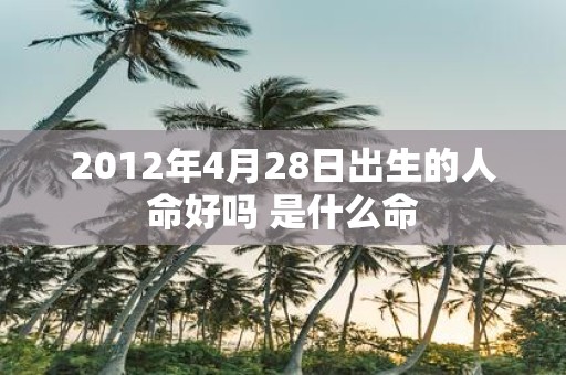2012年4月28日出生的人命好吗 是什么命