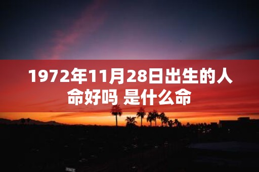 1972年11月28日出生的人命好吗 是什么命