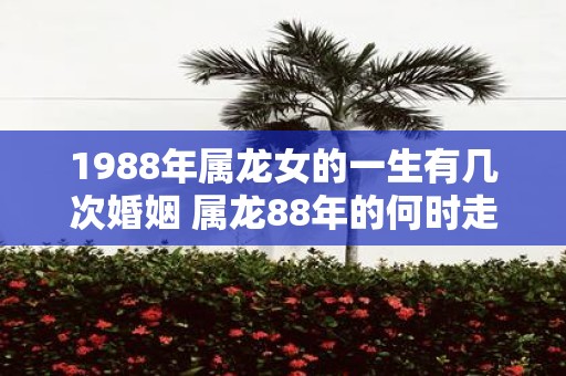 1988年属龙女的一生有几次婚姻 属龙88年的何时走大运