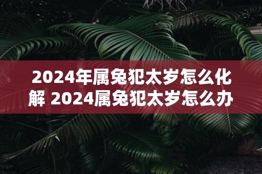 2025年属兔犯太岁怎么化解 2025属兔犯太岁怎么办