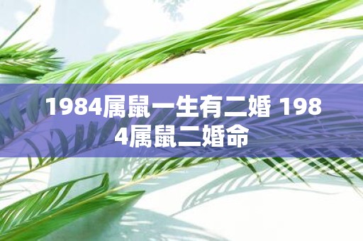 1984属鼠一生有二婚 1984属鼠二婚命