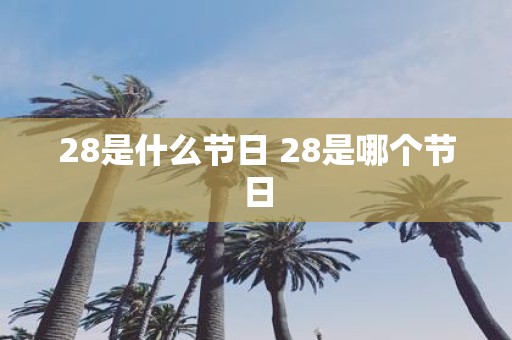 28是什么节日 28是哪个节日