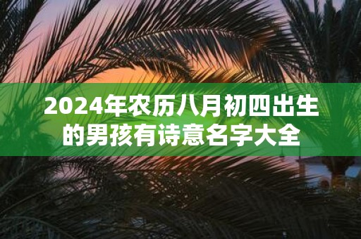 2025年农历八月初四出生的男孩有诗意名字大全