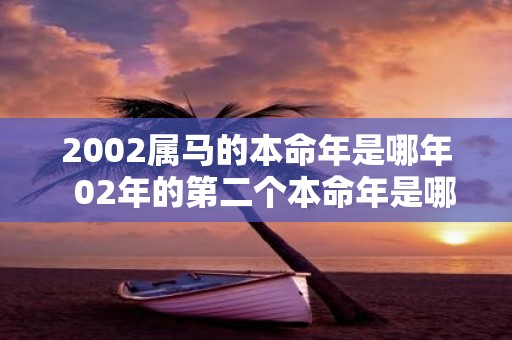 2002属马的本命年是哪年 02年的第二个本命年是哪一年