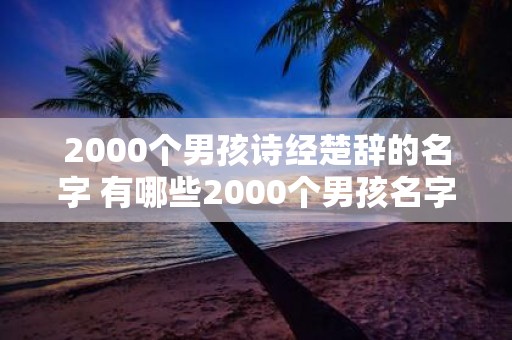 2000个男孩诗经楚辞的名字 有哪些2000个男孩名字来自诗经楚辞