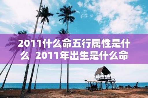 2011什么命五行属性是什么 2011年出生是什么命