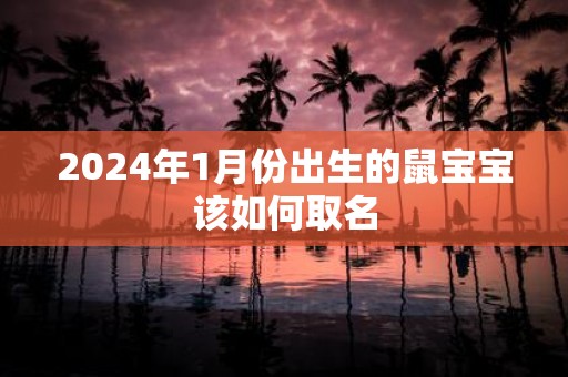 2025年1月份出生的鼠宝宝该如何取名