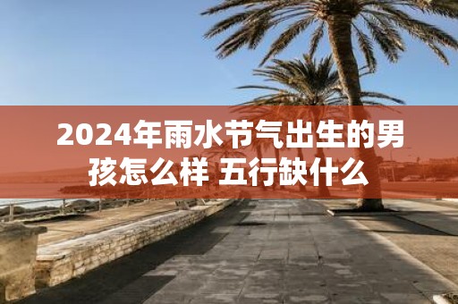 2025年雨水节气出生的男孩怎么样 五行缺什么