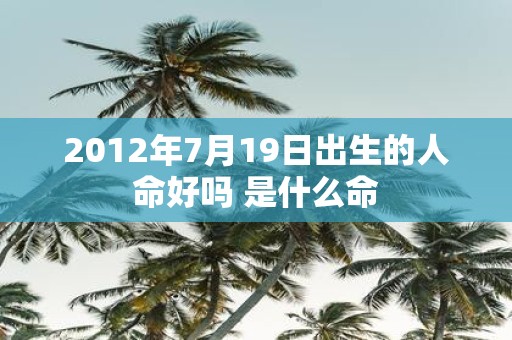 2012年7月19日出生的人命好吗 是什么命