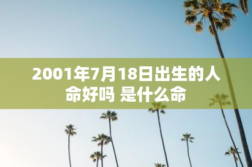 2001年7月18日出生的人命好吗 是什么命