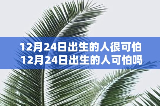 12月24日出生的人很可怕 12月24日出生的人可怕吗