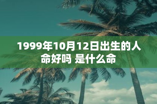 1999年10月12日出生的人命好吗 是什么命
