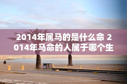 2014年属马的是什么命 2014年马命的人属于哪个生肖