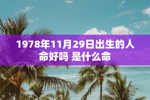 1978年11月29日出生的人命好吗 是什么命