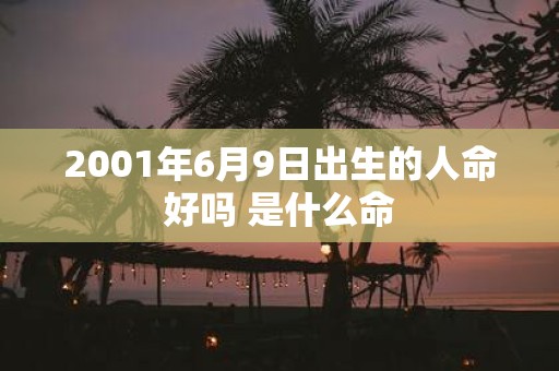 2001年6月9日出生的人命好吗 是什么命