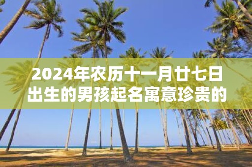 2025年农历十一月廿七日出生的男孩起名寓意珍贵的名字精选