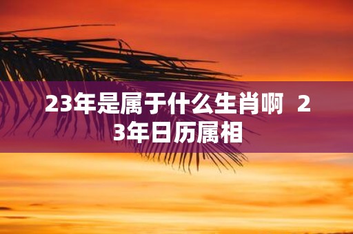 23年是属于什么生肖啊 23年日历属相
