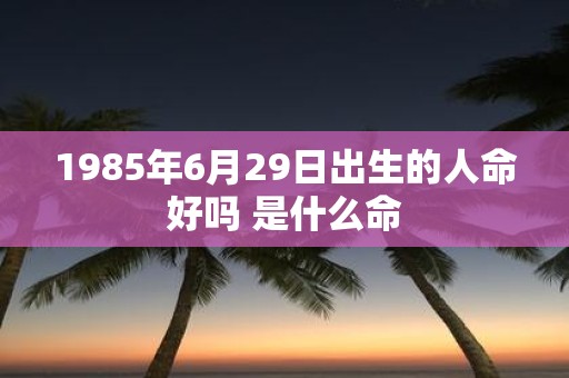1985年6月29日出生的人命好吗 是什么命