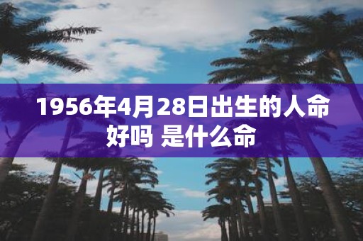 1956年4月28日出生的人命好吗 是什么命