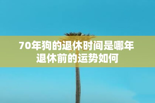 70年狗的退休时间是哪年 退休前的运势如何