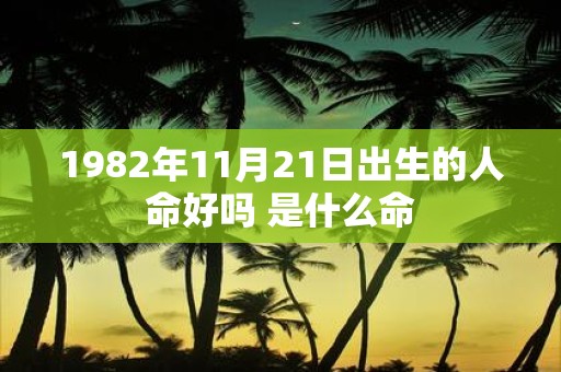 1982年11月21日出生的人命好吗 是什么命