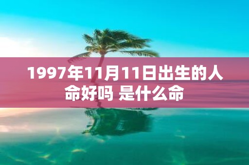 1997年11月11日出生的人命好吗 是什么命