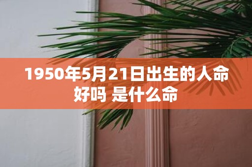 1950年5月21日出生的人命好吗 是什么命
