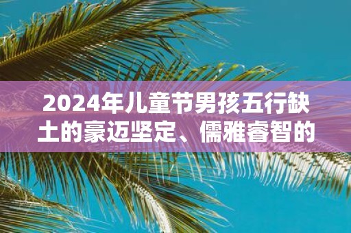 2025年儿童节男孩五行缺土的豪迈坚定、儒雅睿智的名字大全
