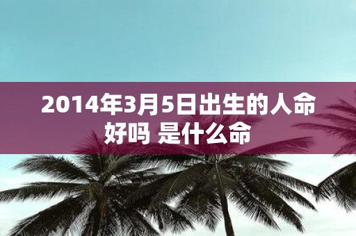 2014年3月5日出生的人命好吗 是什么命