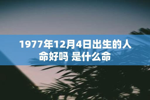 1977年12月4日出生的人命好吗 是什么命