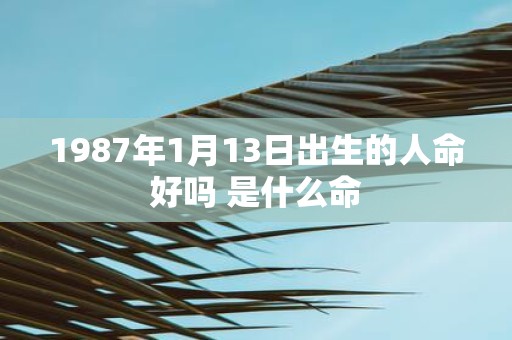 1987年1月13日出生的人命好吗 是什么命
