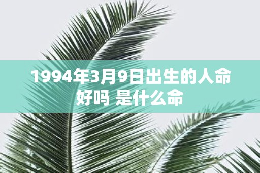 1994年3月9日出生的人命好吗 是什么命