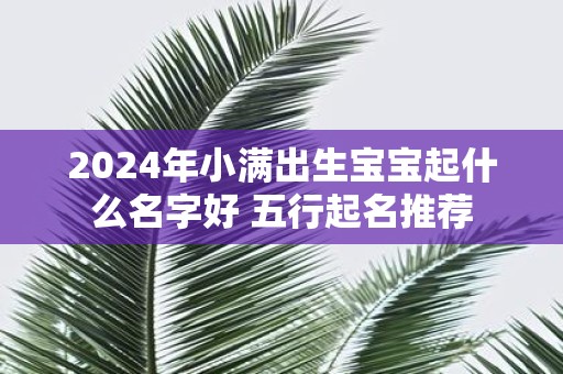 2025年小满出生宝宝起什么名字好 五行起名推荐