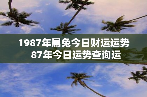 1987年属兔今日财运运势 87年今日运势查询运
