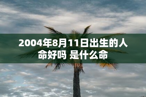 2004年8月11日出生的人命好吗 是什么命