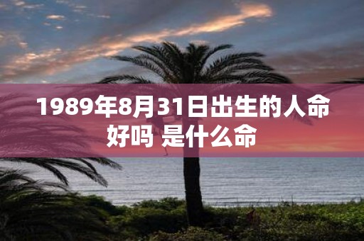 1989年8月31日出生的人命好吗 是什么命