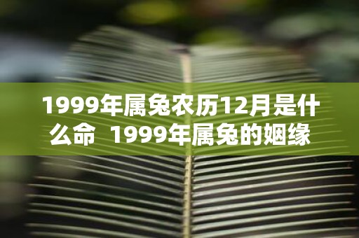1999年属兔农历12月是什么命 1999年属兔的姻缘